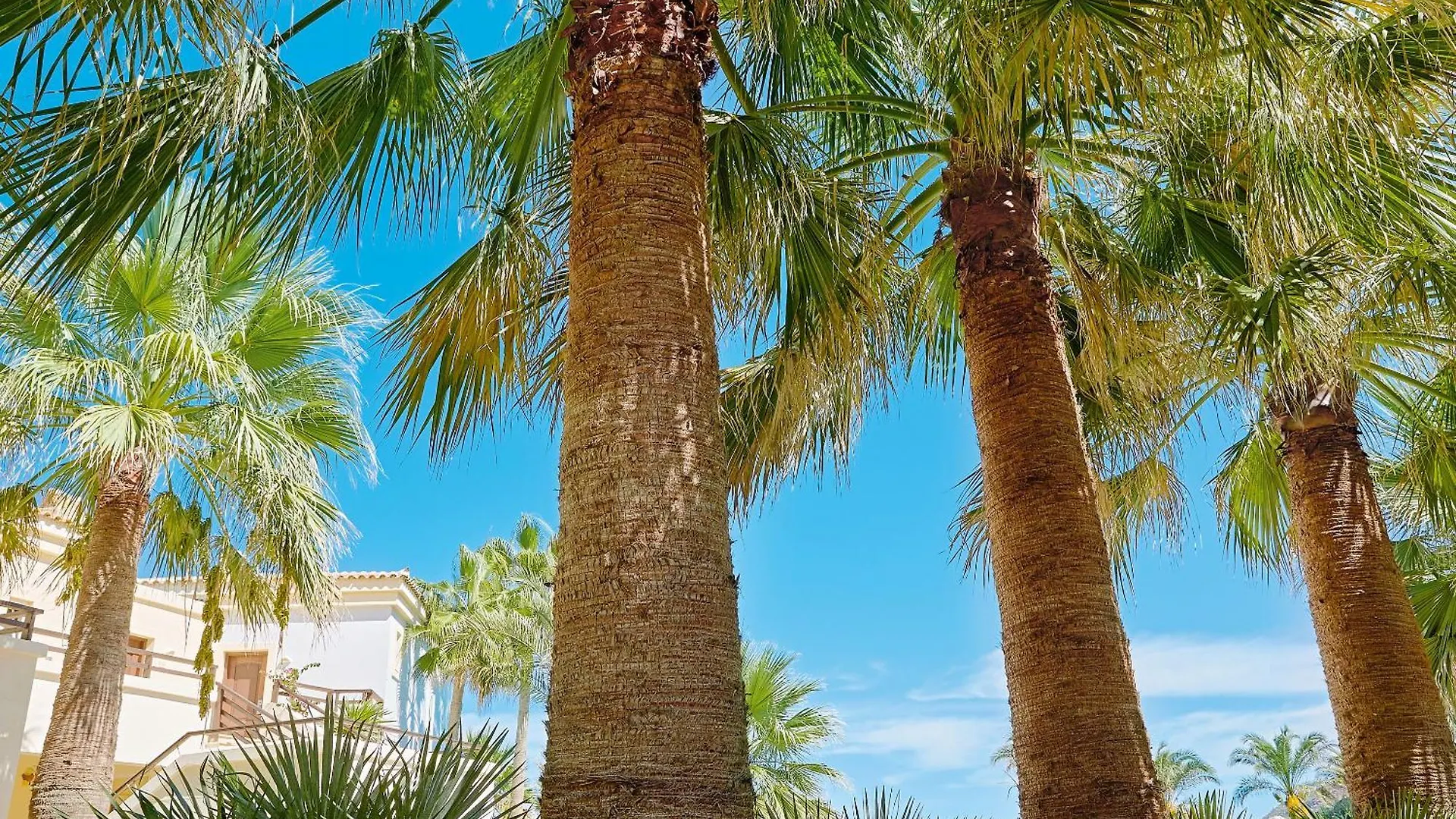 העיירה רתימנו Grecotel Marine Palace & Aqua Park מלון